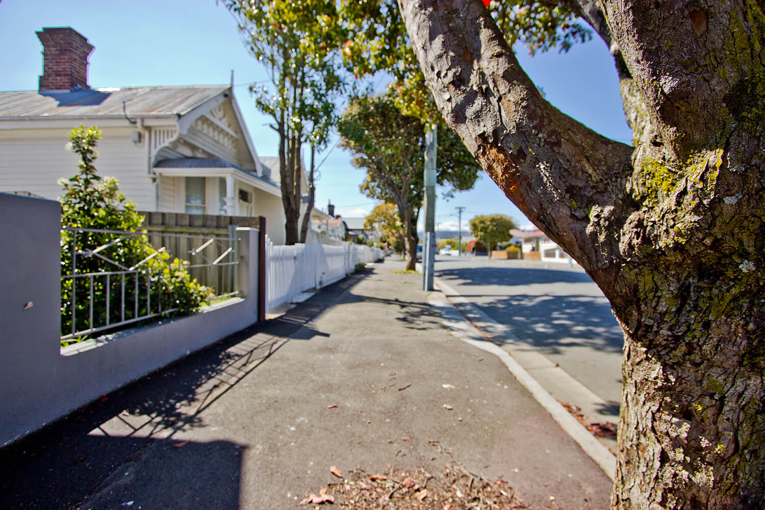Street Talk Burns Street, Invermay Richard Bailey
